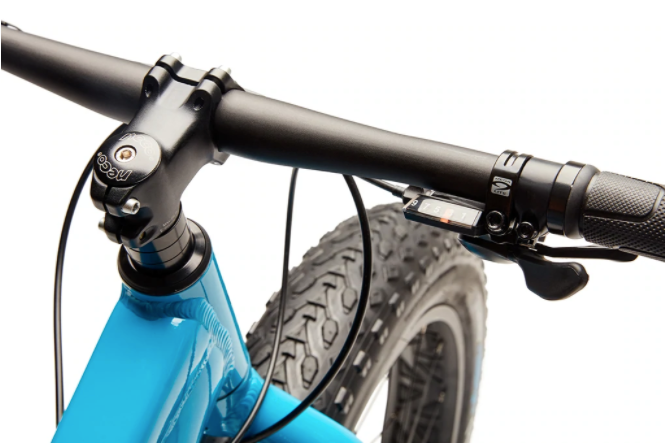 Moose fat bike online 2021