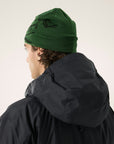 Arc'teryx Bird head Tuque