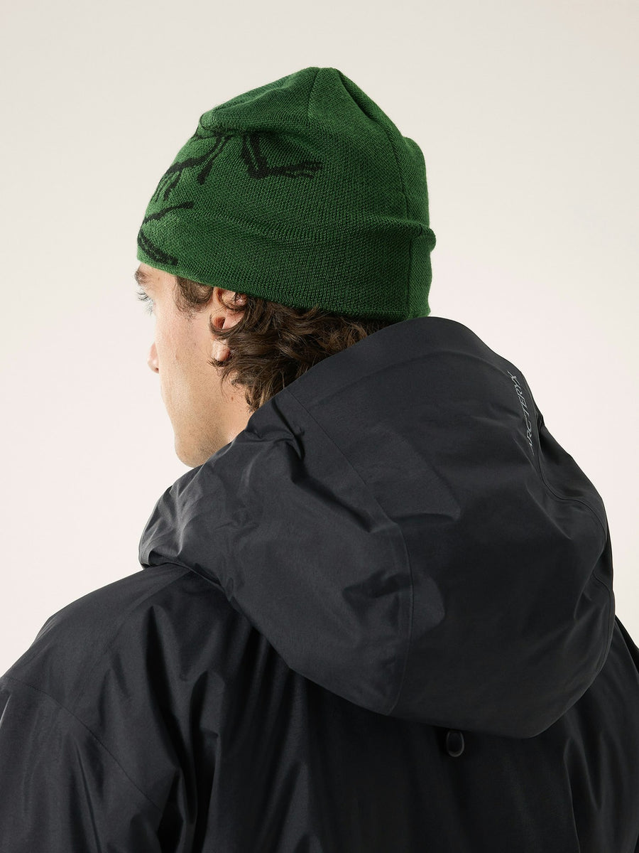 Arc'teryx Bird head Tuque