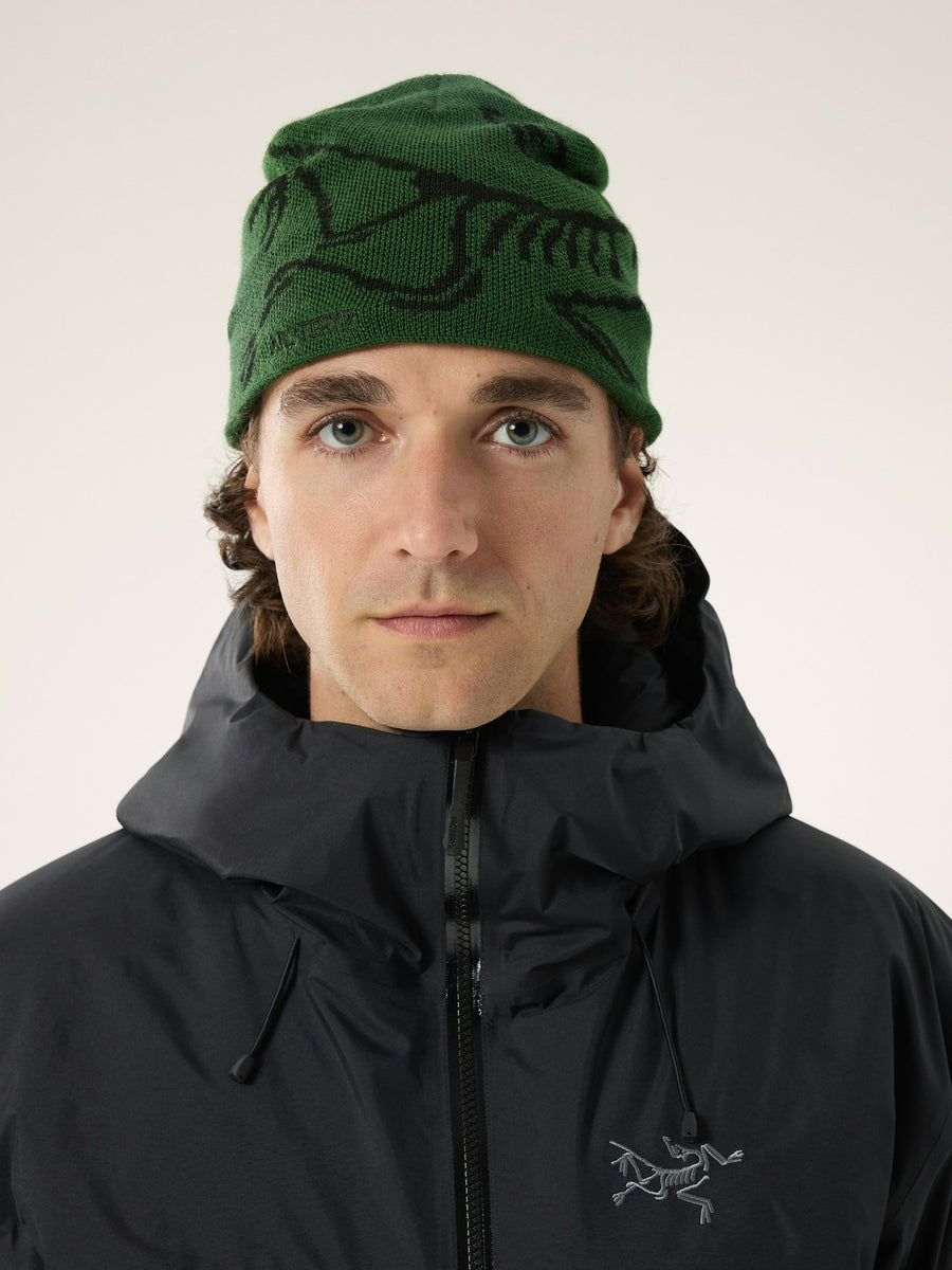 Arc'teryx Bird head Tuque