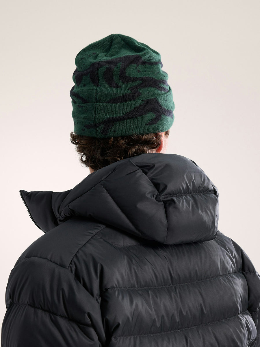 Arc'teryx Grotto Tuque